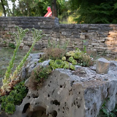 With Parking Space Sveti Lovrec, Istria - Sredisnja Istra - 24888 Apartment